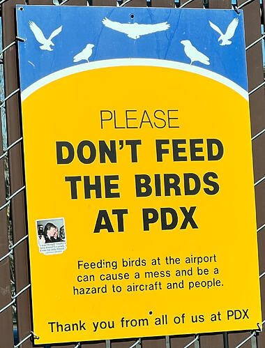 Don't feed the birds. Also, a picture of Trump and Epstein for some reason.